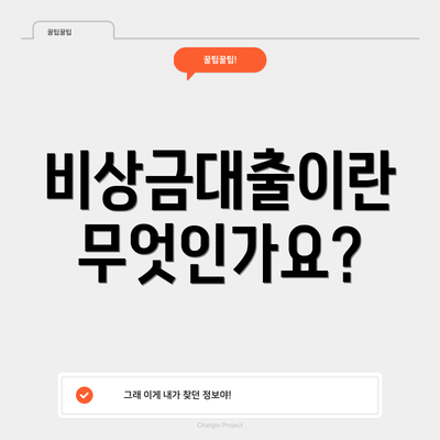 비상금대출이란 무엇인가요?