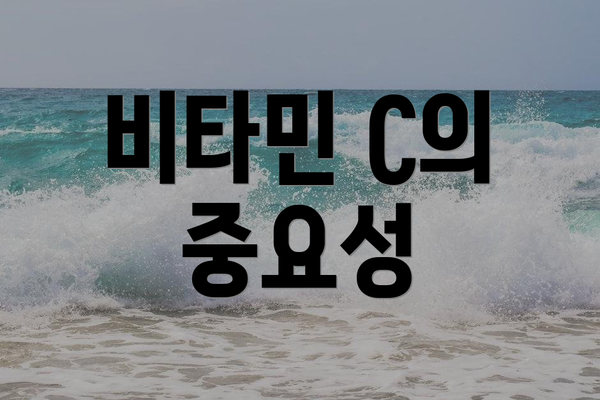 비타민 C의 중요성