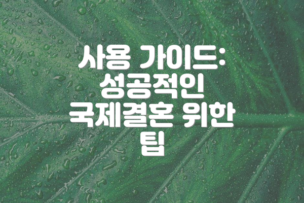 사용 가이드: 성공적인 국제결혼 위한 팁