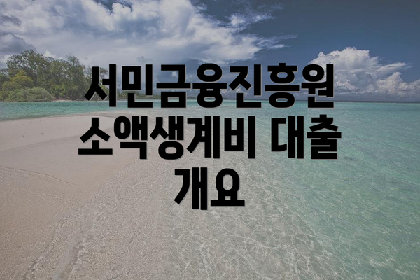 서민금융진흥원 소액생계비 대출 개요