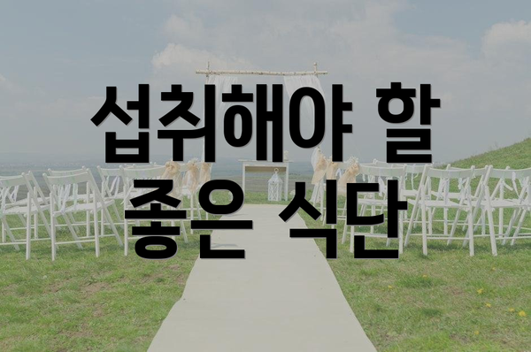 섭취해야 할 좋은 식단