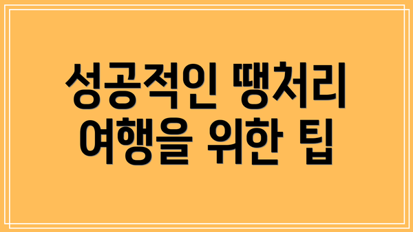 성공적인 땡처리 여행을 위한 팁