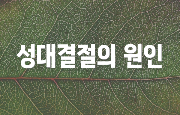 성대결절의 원인