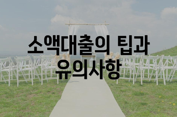 소액대출의 팁과 유의사항