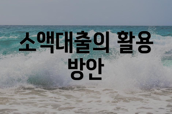 소액대출의 활용 방안