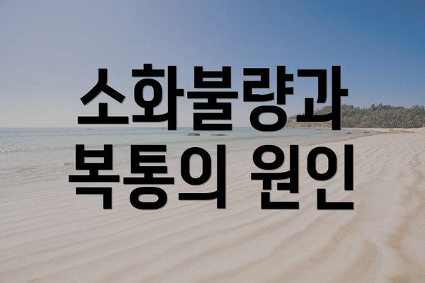 소화불량과 복통의 원인