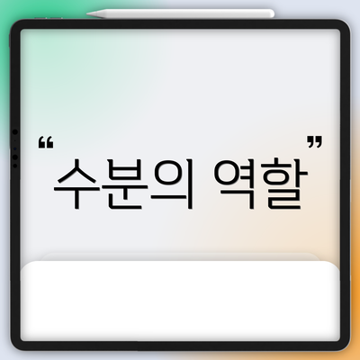 수분의 역할