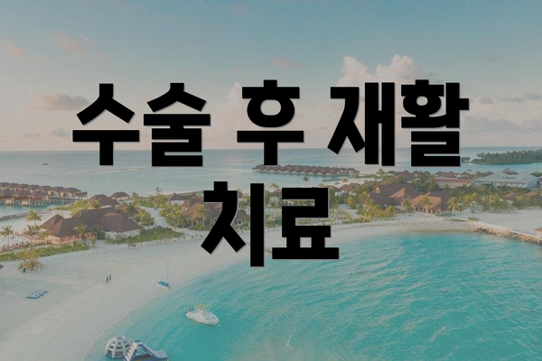 수술 후 재활 치료