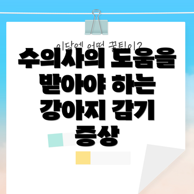 수의사의 도움을 받아야 하는 강아지 감기 증상