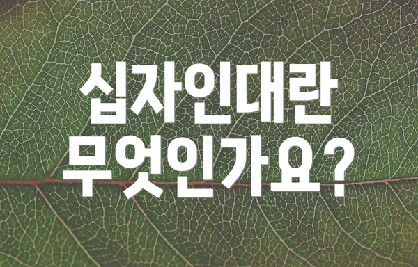 십자인대란 무엇인가요?