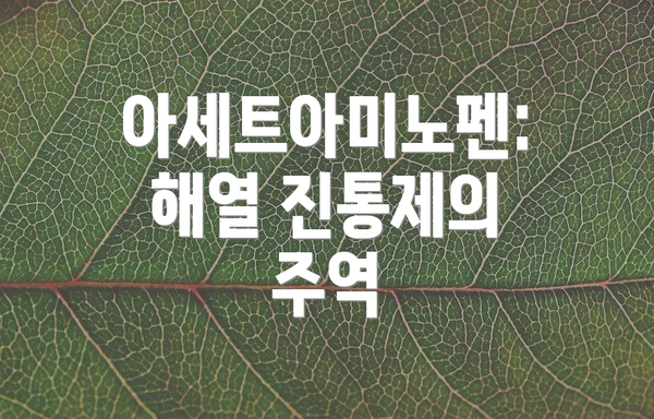 아세트아미노펜: 해열 진통제의 주역