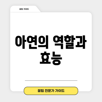 아연의 역할과 효능