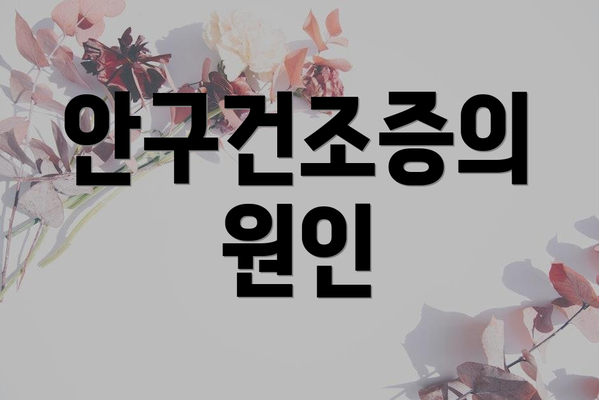 안구건조증의 원인