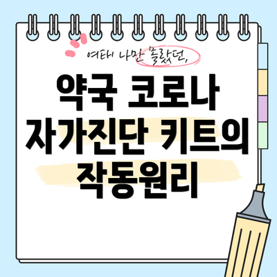 약국 코로나 자가진단 키트의 가격