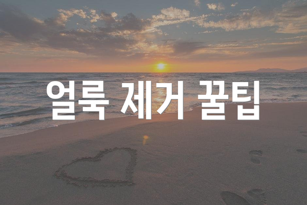 얼룩 제거 꿀팁