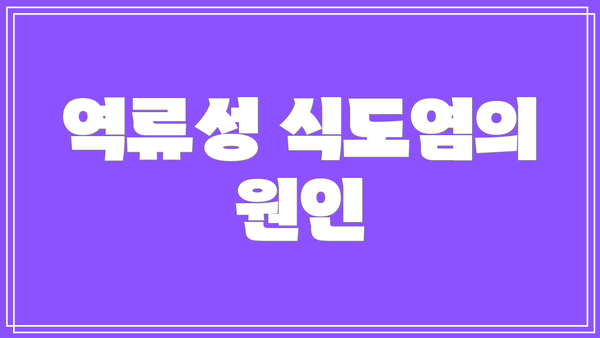 역류성 식도염의 원인