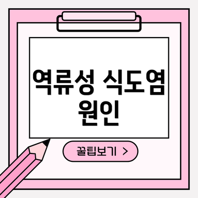 역류성 식도염 원인