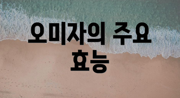 오미자의 주요 효능