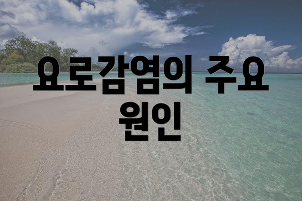 요로감염의 주요 원인