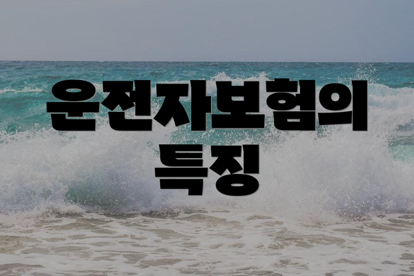 운전자보험의 특징