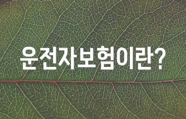 운전자보험이란?