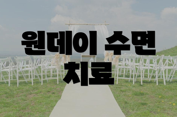 원데이 수면 치료