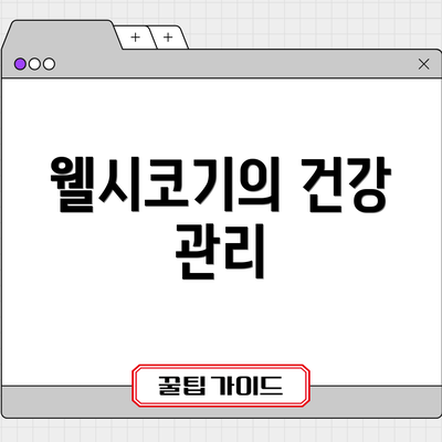 웰시코기의 건강 관리