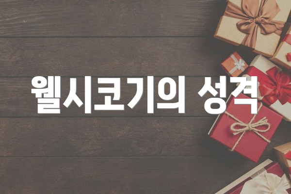 웰시코기의 성격