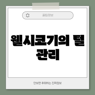 웰시코기의 털 관리