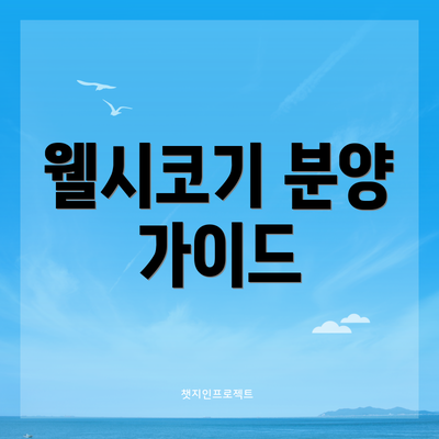 웰시코기 분양 가이드