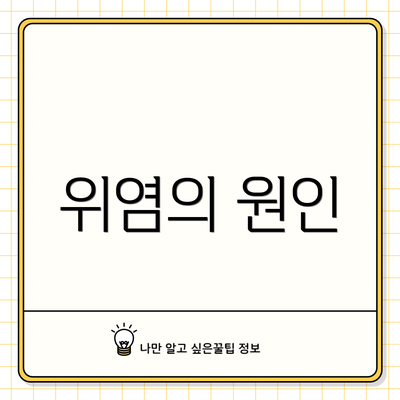 위염의 원인