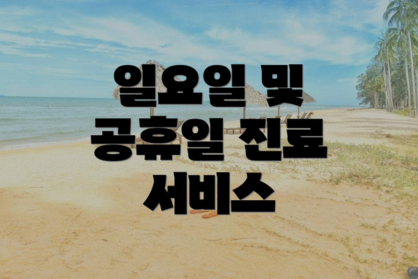 일요일 및 공휴일 진료 서비스
