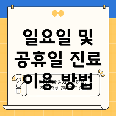 일요일 및 공휴일 진료 이용 방법