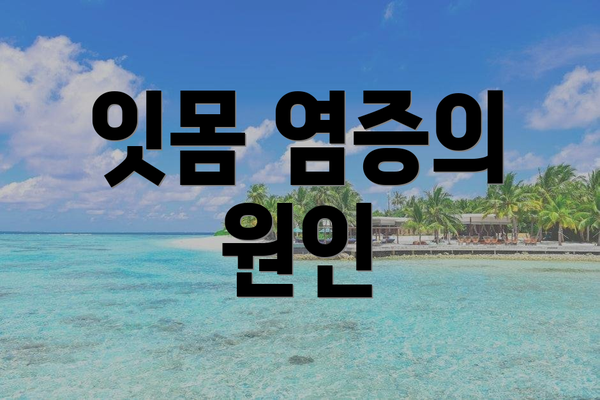 잇몸 염증의 원인