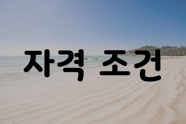 자격 조건