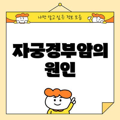 자궁경부암의 원인