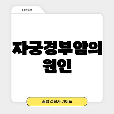 자궁경부암의 원인
