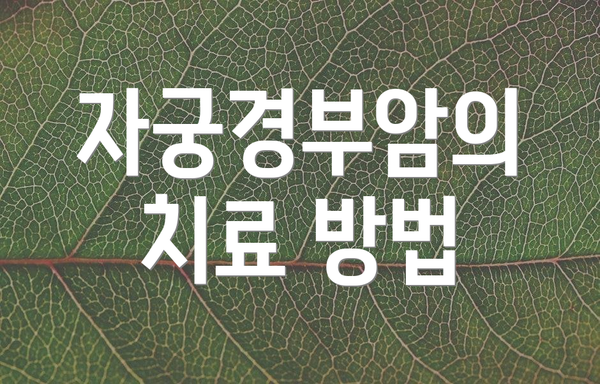 자궁경부암의 치료 방법