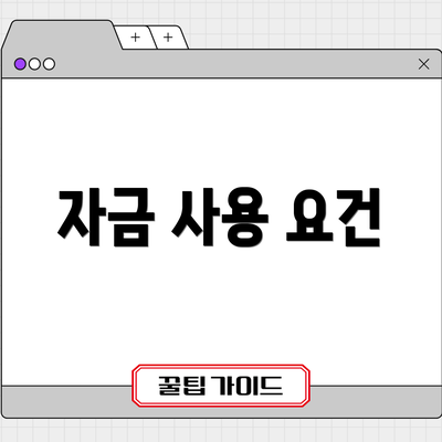 자금 사용 요건