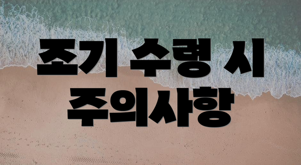 조기 수령 시 주의사항