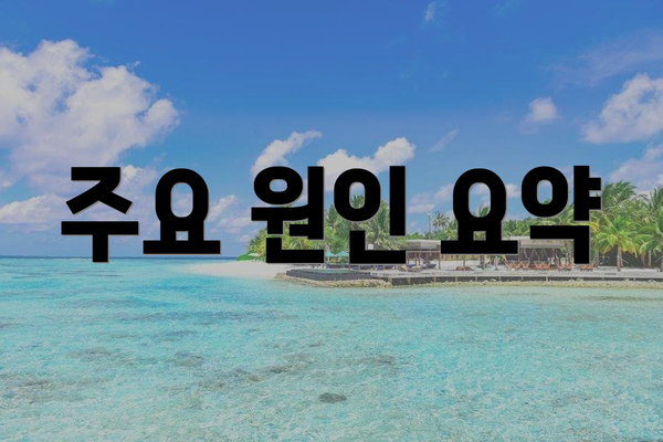 주요 원인 요약