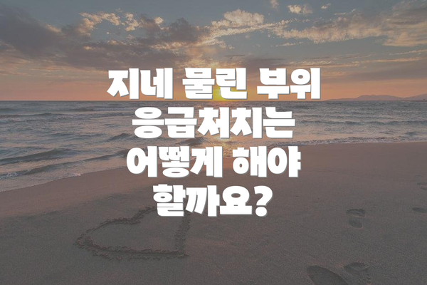 지네 물린 부위 응급처치는 어떻게 해야 할까요?
