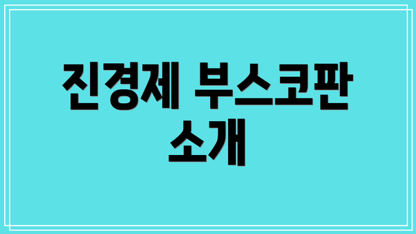 진경제 부스코판 소개