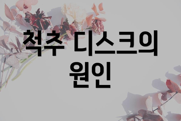 척추 디스크의 원인