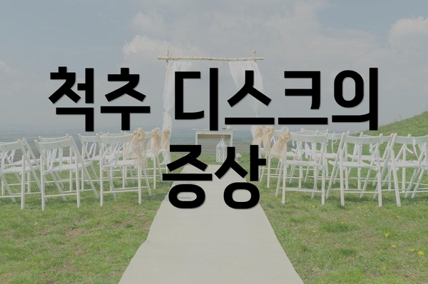 척추 디스크의 증상