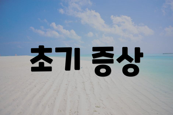 초기 증상