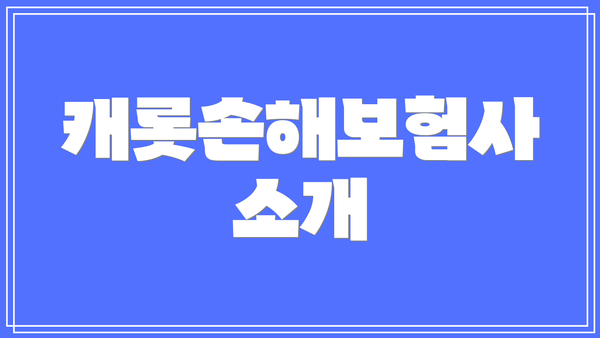 캐롯손해보험사 소개