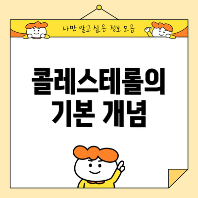 콜레스테롤의 기본 개념