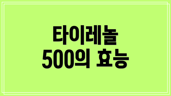 타이레놀 500의 효능