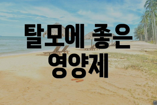 탈모에 좋은 영양제